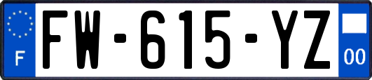 FW-615-YZ