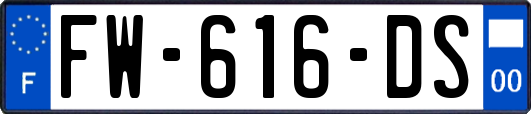 FW-616-DS