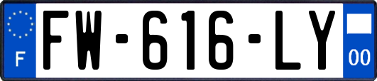 FW-616-LY
