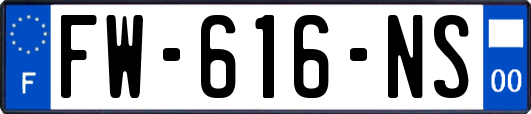 FW-616-NS