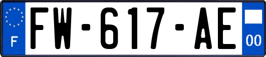 FW-617-AE