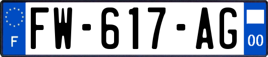 FW-617-AG