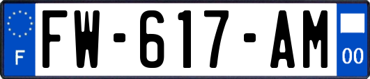 FW-617-AM