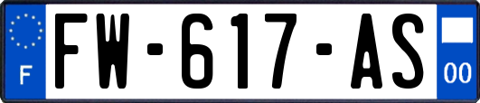 FW-617-AS
