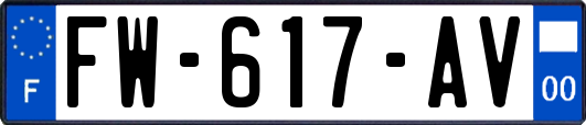 FW-617-AV