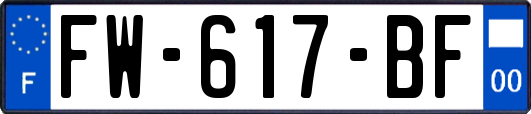 FW-617-BF