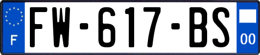 FW-617-BS