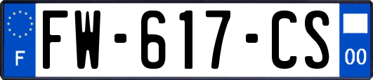 FW-617-CS