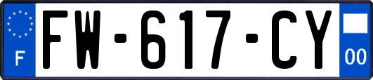 FW-617-CY