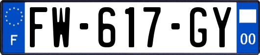 FW-617-GY