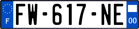 FW-617-NE