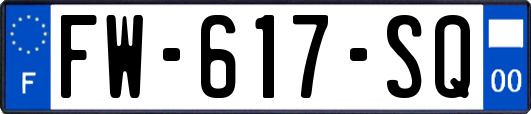 FW-617-SQ