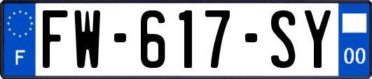 FW-617-SY