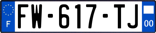FW-617-TJ