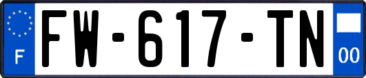 FW-617-TN
