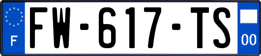 FW-617-TS