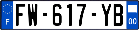 FW-617-YB