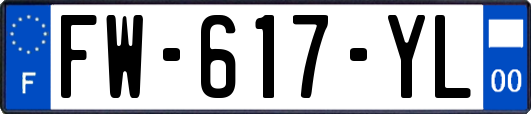 FW-617-YL