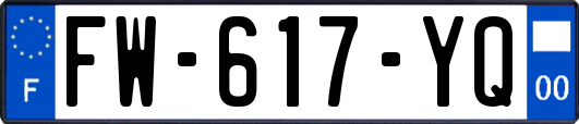 FW-617-YQ