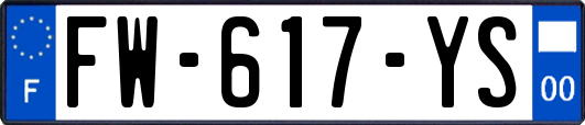 FW-617-YS