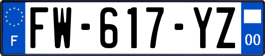 FW-617-YZ