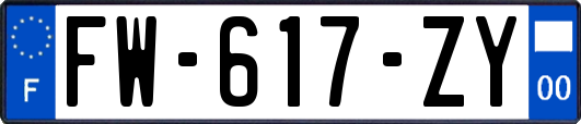 FW-617-ZY