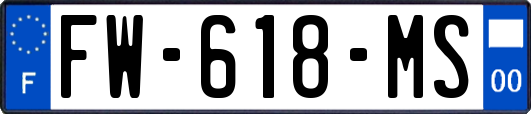 FW-618-MS