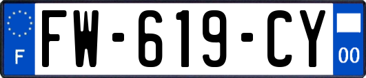 FW-619-CY