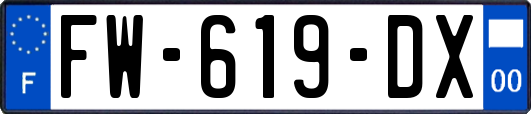 FW-619-DX