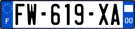FW-619-XA