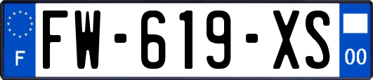 FW-619-XS