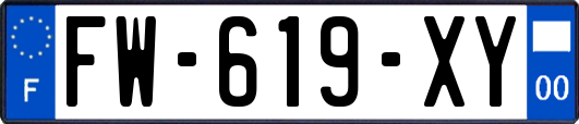 FW-619-XY