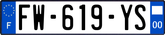 FW-619-YS
