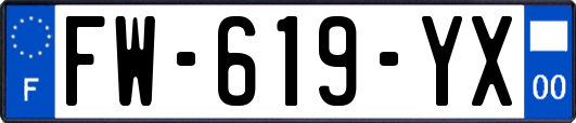 FW-619-YX