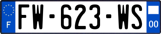 FW-623-WS