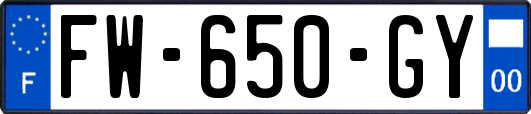 FW-650-GY