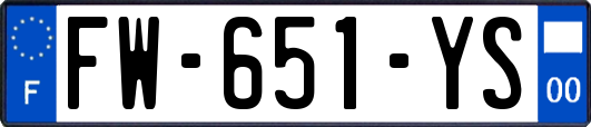 FW-651-YS