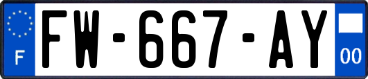 FW-667-AY