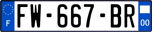 FW-667-BR