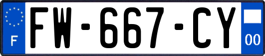 FW-667-CY