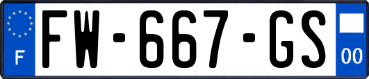 FW-667-GS