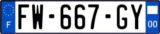 FW-667-GY