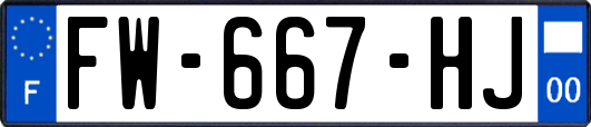 FW-667-HJ
