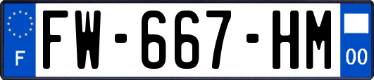 FW-667-HM