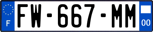 FW-667-MM