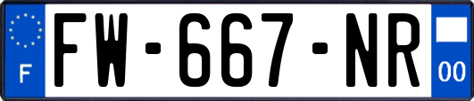 FW-667-NR