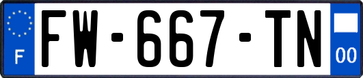 FW-667-TN