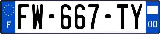 FW-667-TY