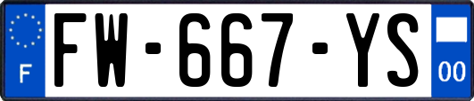 FW-667-YS