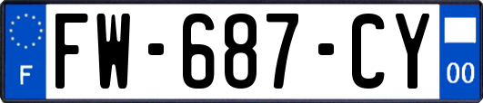 FW-687-CY